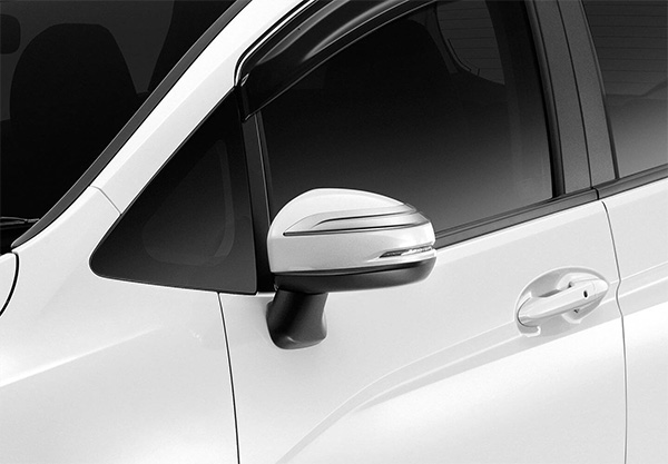 <img src="Door Mirror Garnish Set