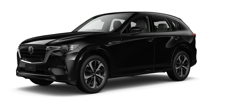 Jet Black Mica