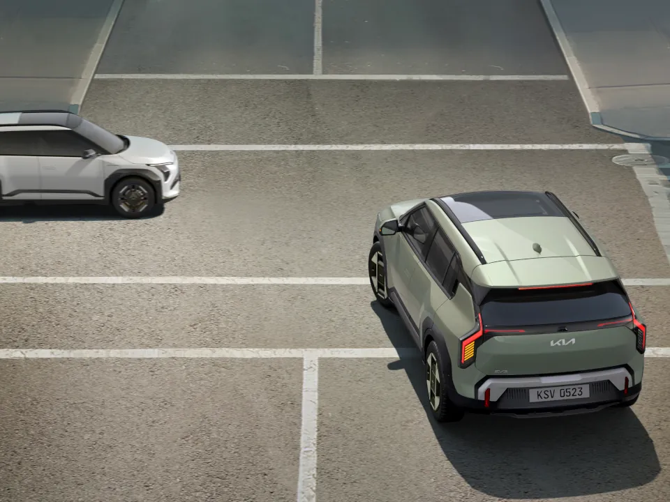 Autonomous Emergency Braking*