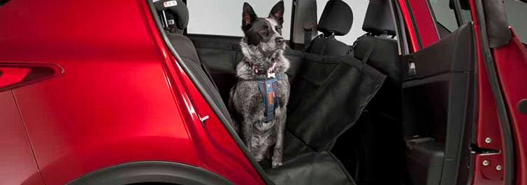 Pet Seat Cover