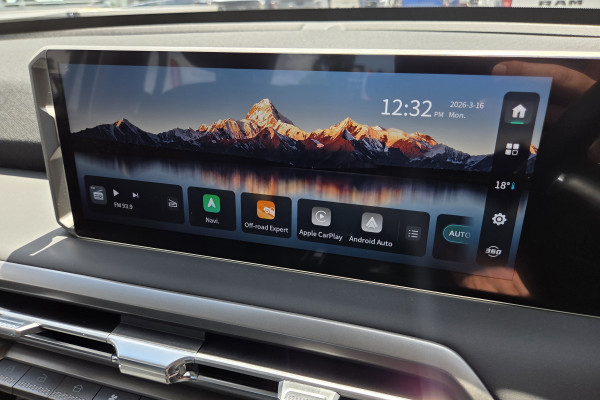 2025 LDV Terron 9 EKK1C Evolve Ute Image 16