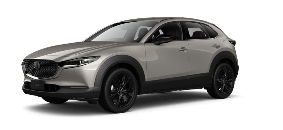 Platinum Quartz Metallic