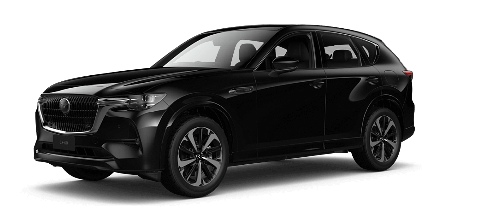 Jet Black Mica