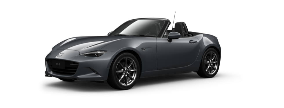 Polymetal Grey Metallic