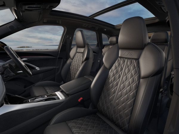 2025 Audi SQ5 GU  SUV image 6