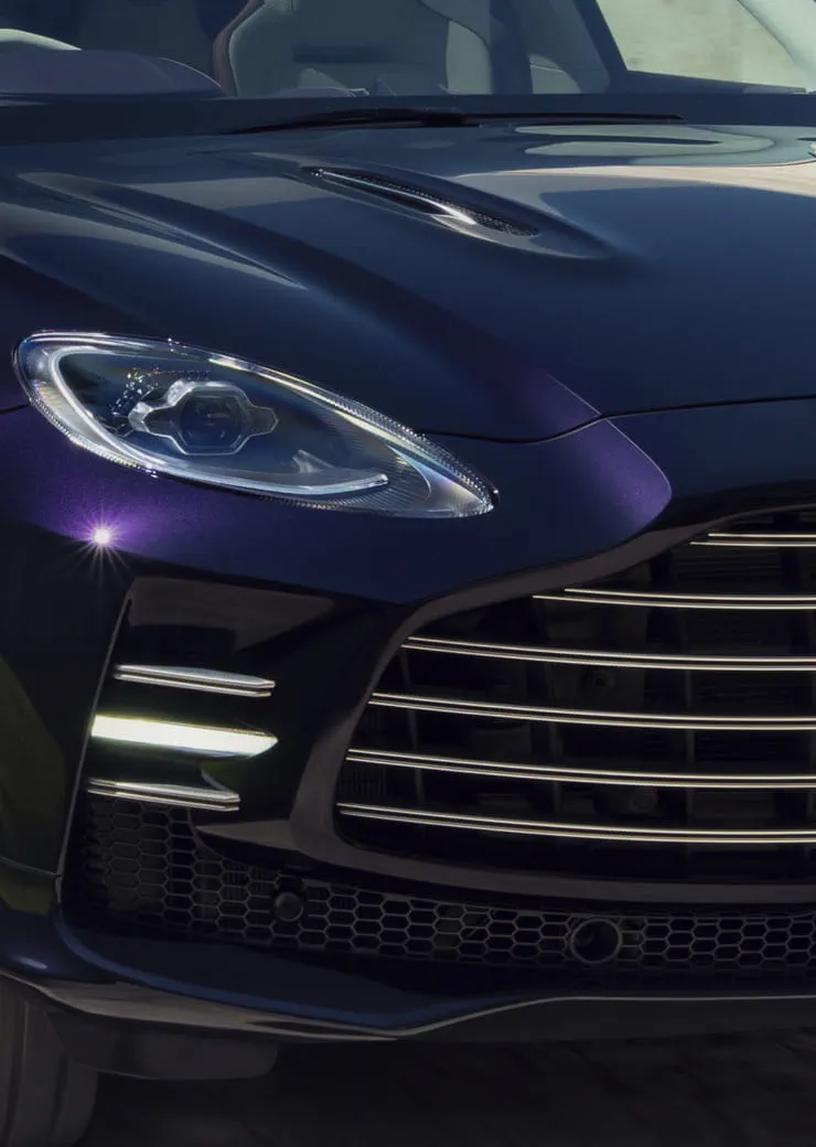 Double-Vane Grille. Image