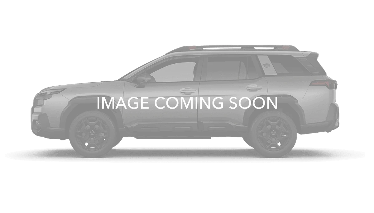 <img src=