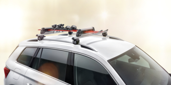 Lockable Ski or Snbowboard Carrier