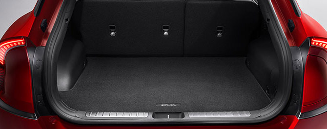 Carpet Cargo Mat