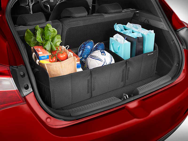 <img src="Cargo Organiser