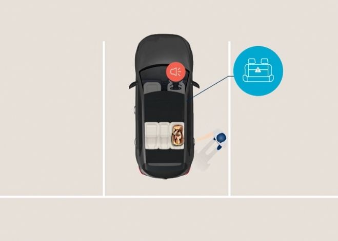 Rear Occupant Alert (ROA) Image