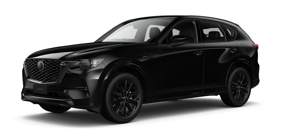 Jet Black Mica