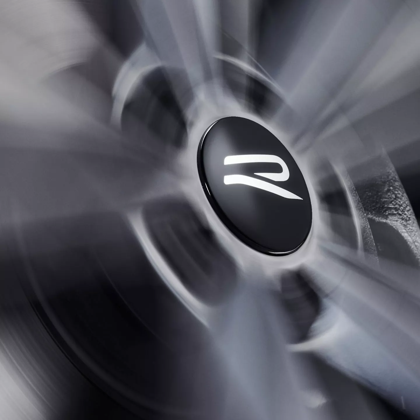 Dynamic hub caps