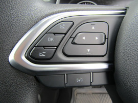 2020 Great Wall Gwm Cannon 4x2 Manual Premium Utility