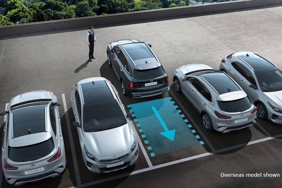 Remote Smart Parking Asssist