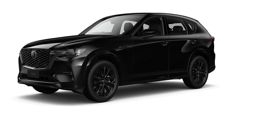 Jet Black Mica