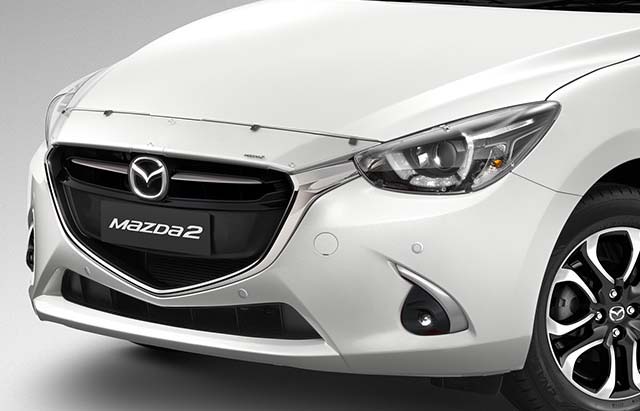 <img src="Bonnet Protector