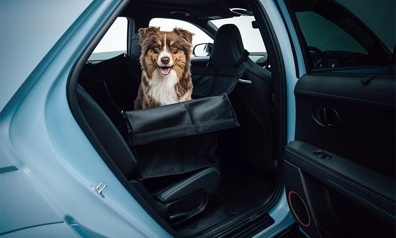 Rear pet seat cover