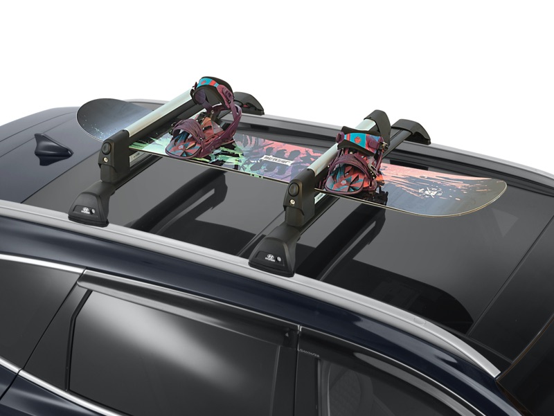 Ski and snowboard carrier