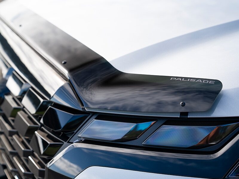 Bonnet protector - dark tint