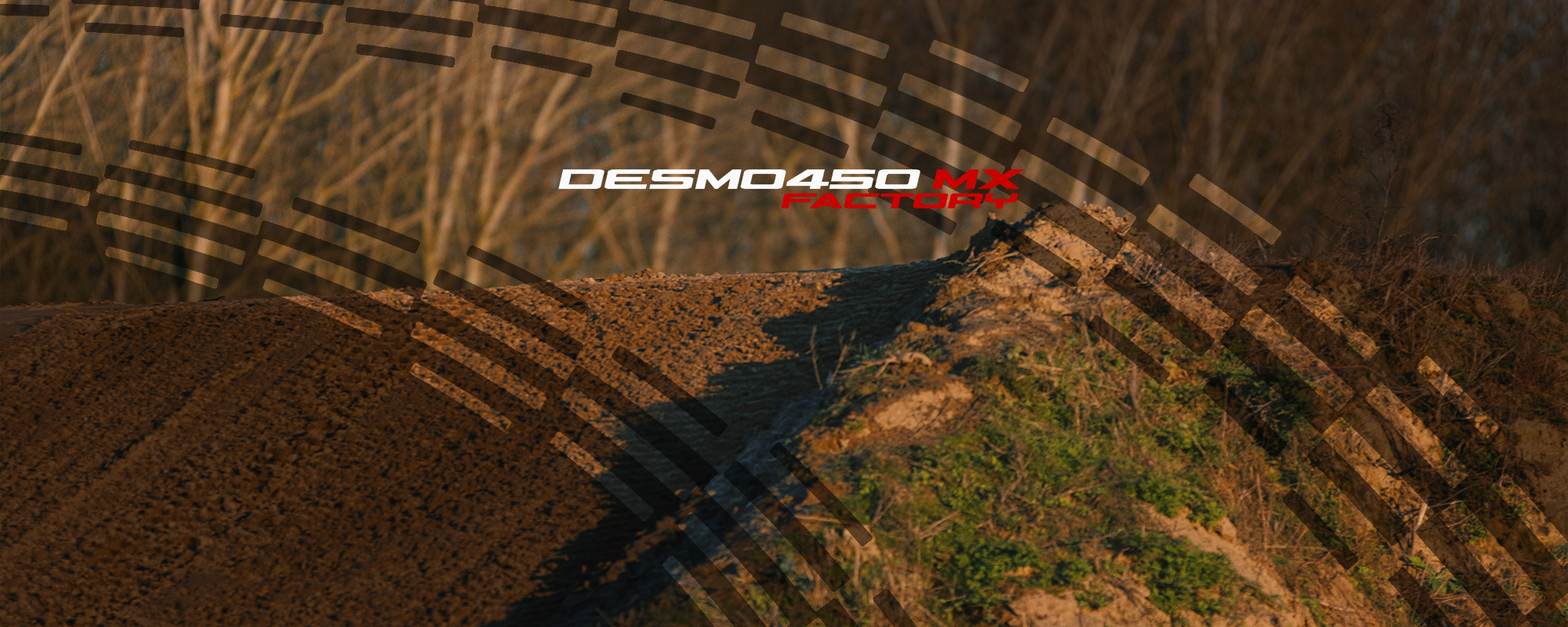 Ducati Desmo450 MX Factory
