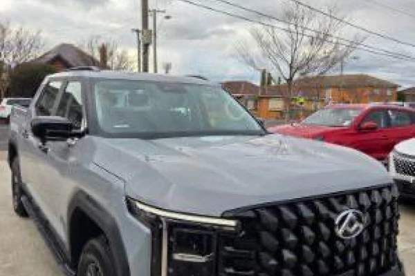 2025 LDV Terron 9 No Series Origin Ute Image 50