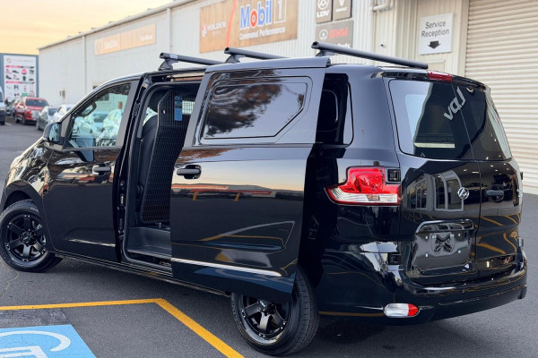 2025 LDV G10 SV7C  Van Image 10