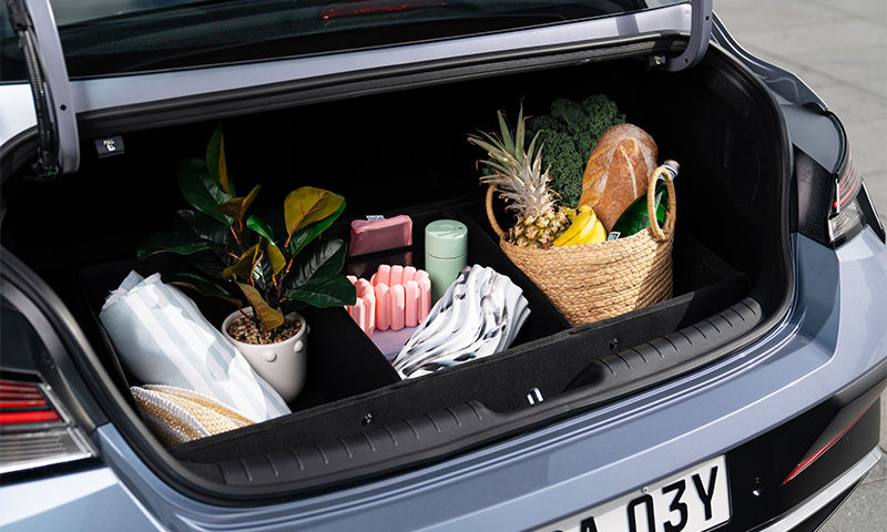 Luxury cargo organiser
