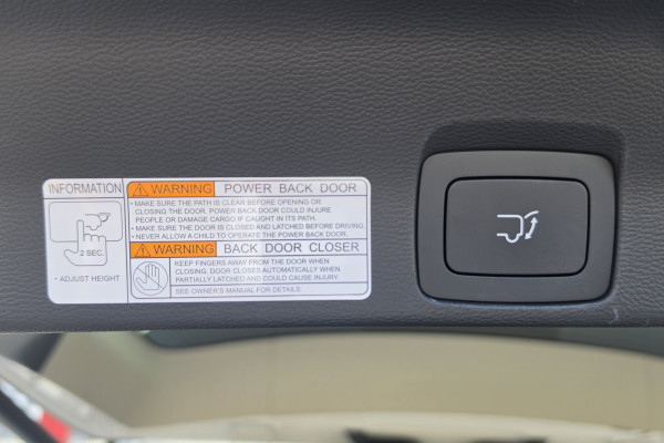 2026 MY25 LDV D90 SV9A Executive SUV Image 13