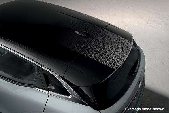 Roof stickers