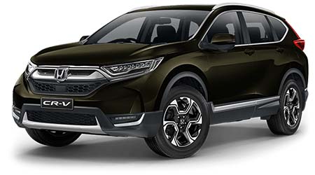 Midnight Forest Metallic