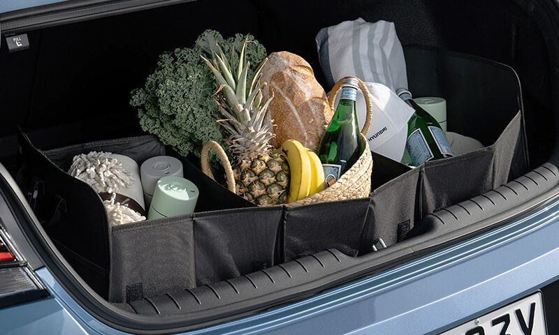 Cargo organiser
