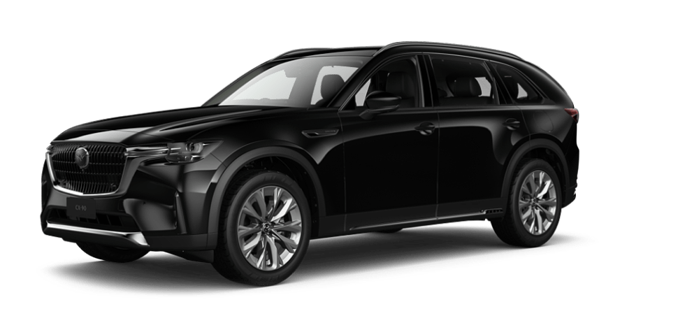 Jet Black Mica
