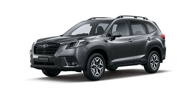 Magnetite Grey Metallic