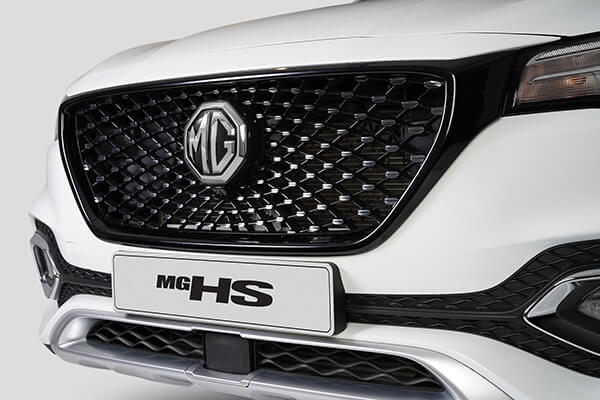 Front Grille Garnish