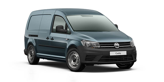 Bamboo Garden Metallic