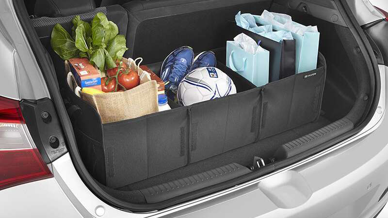 <img src="Cargo organiser.