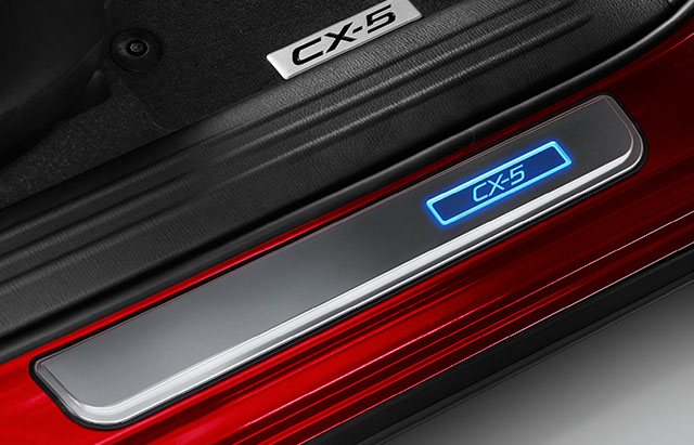 Illuminated scuff plate