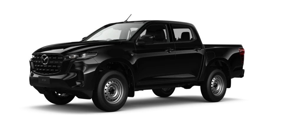True Black Mica