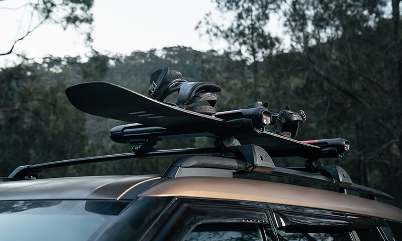 Ski & snowboard carrier