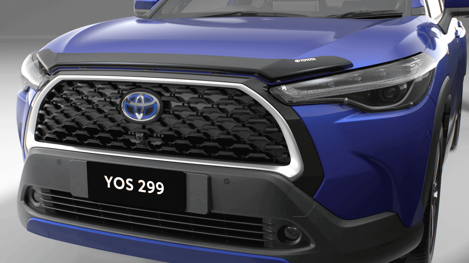 Bonnet Protector - Dark Tint