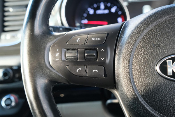 2019 Kia Carnival YP Platinum Van Image 14