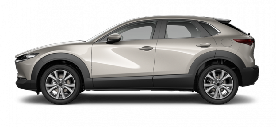 2026 Mazda CX-30 DM Series G20 Evolve SUV Image 22