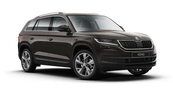 Magnetic Brown Metallic