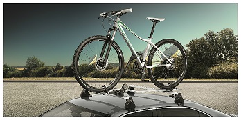 Bicycle Carrier