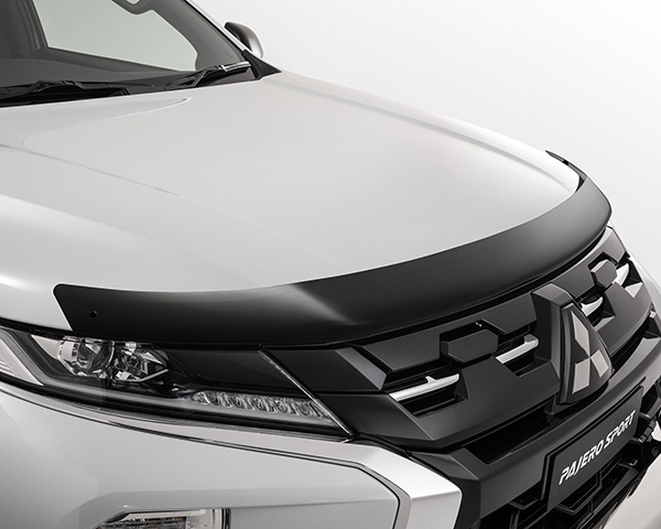 Bonnet protector - tinted