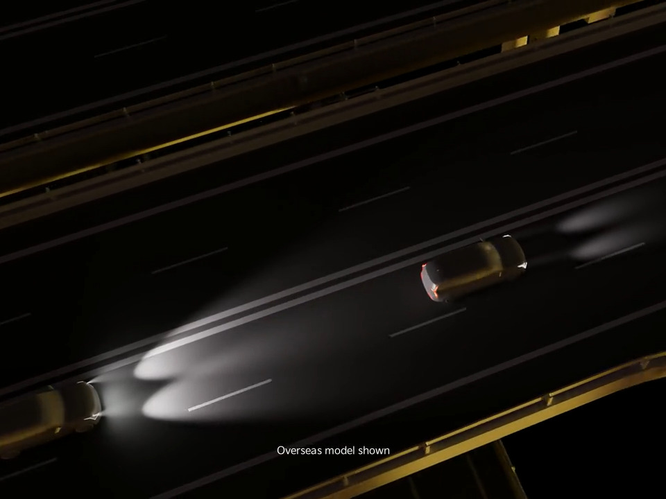 High Beam Assist*