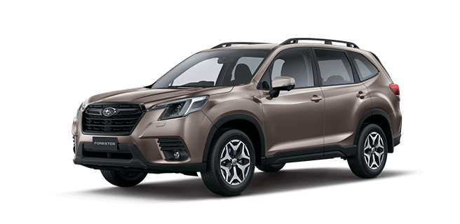 Brilliant Bronze Metallic