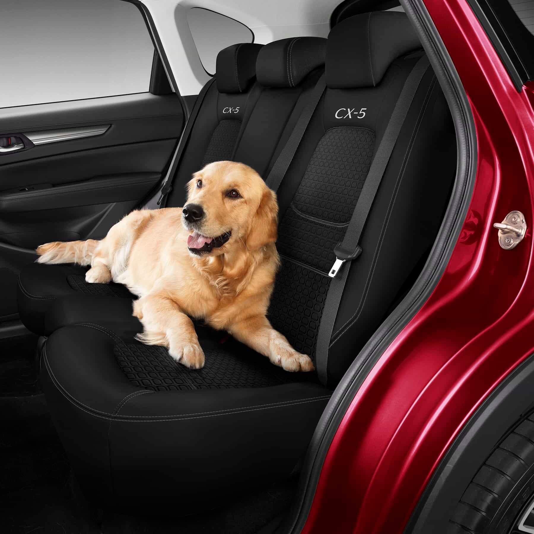 Rear Seat Cover
