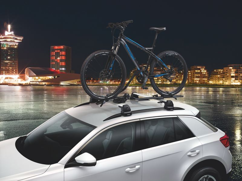 Bicycle carrier